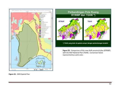 The Rimba Raya Biodiversity Reserve REDD Project