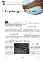 Le patologie dello scroto