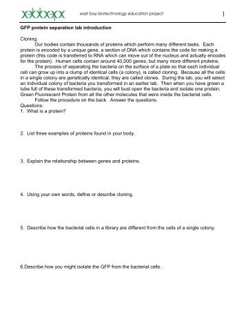 GFP protein separation lab introduction Cloning Our bodies contain ...