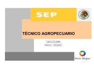 Tecnico Agropecuario.pdf - Cobaev