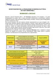 BIOMASSE e BIOGAS - Lapam