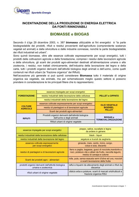 BIOMASSE e BIOGAS - Lapam