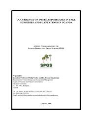 occurrence of pests and diseases in tree nurseries and plantations ...