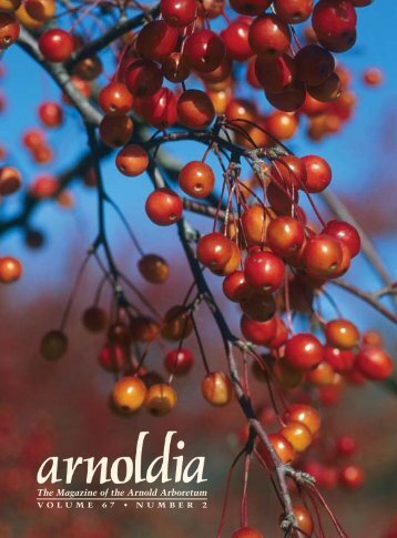 The Magazine of the Arnold Arboretum - Arnoldia - Harvard University