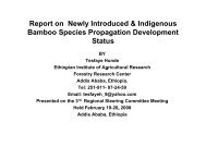 2. Report on Introduced & Indigenous Bamboo Species Propagation