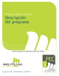 DescripciÃ³n del programa - Mutual de Seguridad