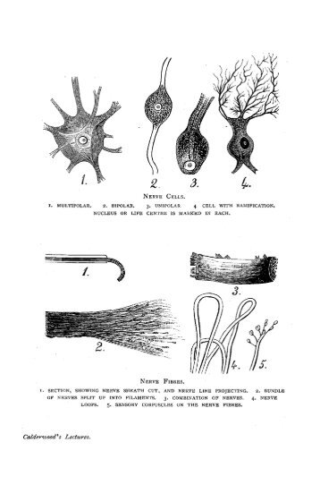 The Relation of Science and Religion.pdf - Online Christian Library