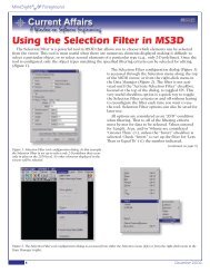 Using the Selection Filter in MS3D