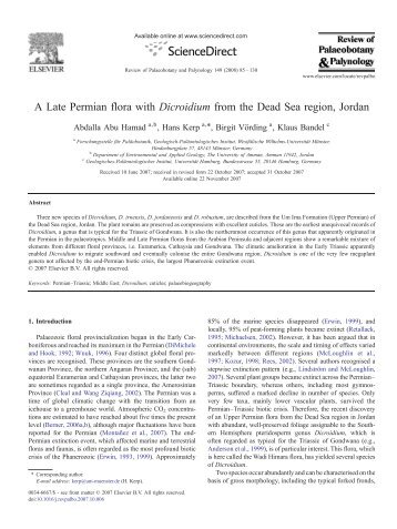 A Late Permian flora with Dicroidium from the Dead ... - Paleoliste.de