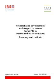 R&D severe accident report - IRSN