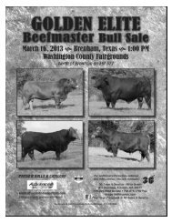 Beefmaster Breeders United - Advanced Video Auctions