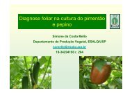 Diagnose foliar na cultura do pimentÃ£o e pepino - Nutricao de Plantas