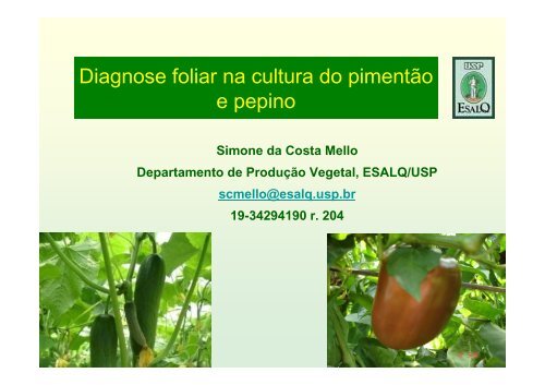 Diagnose foliar na cultura do pimentÃ£o e pepino - Nutricao de Plantas