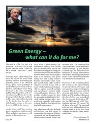 Green Energy â what can it do for me? - IMSA