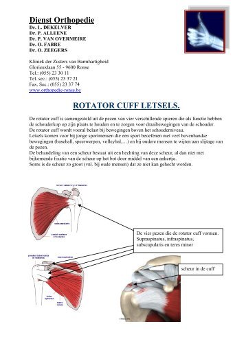 Rotatorcuff Herstel Brochure - Orthopedie Ronse