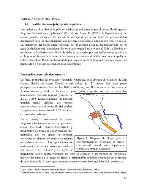 estudio de caso