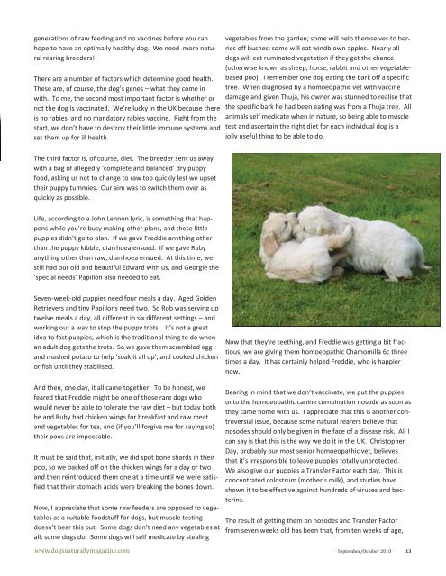 September-October201.. - Dogs Naturally Magazine