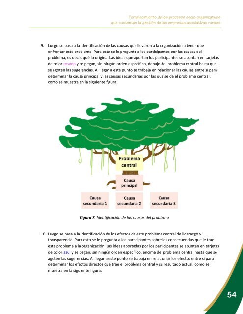 Fortalecimiento de los procesos socio-organizativos que ... - Catie