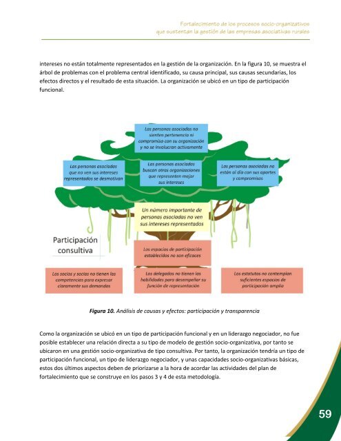 Fortalecimiento de los procesos socio-organizativos que ... - Catie