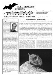 Ausgabe 3 - Oktober 1998 - All about Bats