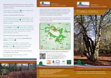 Tabell Ghyll:Layout 1 - Ashdown Forest