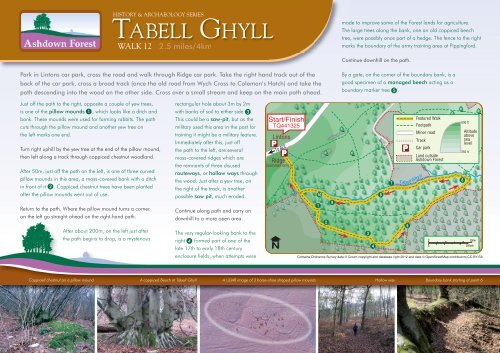 Tabell Ghyll:Layout 1 - Ashdown Forest