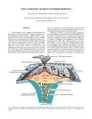 VOLCANOGENIC MASSIVE SULPHIDE DEPOSITS