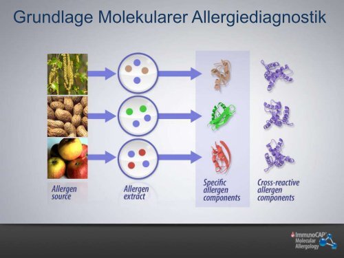 Molekulare Allergiediagnostik bei Allergien auf ErdnÃ¼sse ... - Phadia