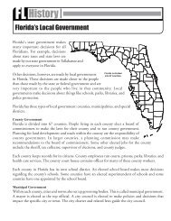 Florida's Local Government