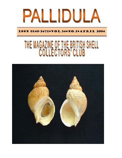 April, 2004 - British Shell Collectors' Club