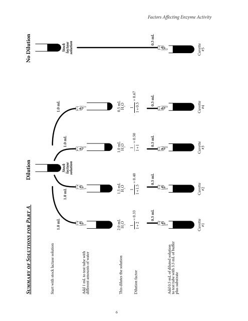 Factors Affecting Enzyme Activity: Lactose Intolerance