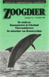 De stadsVOS Boommarters in Friesland ... - Zoogdierwinkel