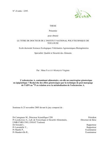 L'ochratoxine A, contaminant alimentaire, est-elle un cancÃ©rogÃ¨ne ...