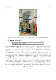 § 19 Spazi proiettivi - Matematica e Applicazioni