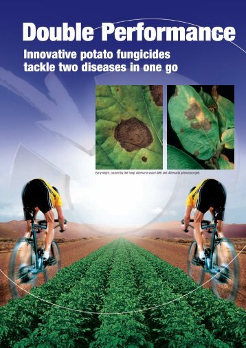 Download: ( 402 KB pdf) - Bayer CropScience Mexico
