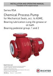 Chemical Process Pump - Richter Pumps