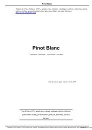 Pinot Blanc - Les Vins d'Alsace