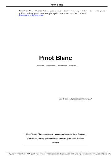 Pinot Blanc - Les Vins d'Alsace