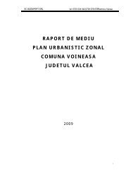 Raport de mediu - PUZ Voineasa - Consiliul Judetean Valcea