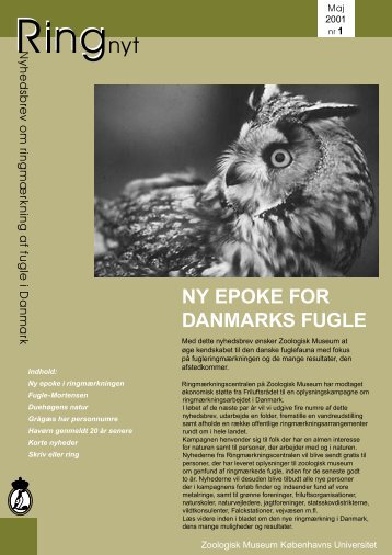 pdf version - Zoologisk Museum