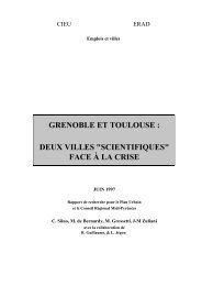 grenoble et toulouse : deux villes 