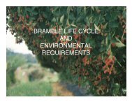 bramble life cycle and environmental requirements - The Southern ...