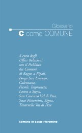 C....come Comune: il glossario della Pubblica Amministrazione (382 ...