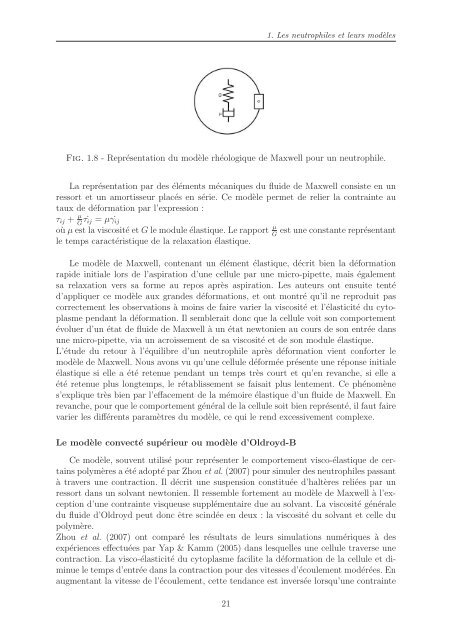 Simulation numÃ©rique du mouvement et de la dÃ©formation des ...