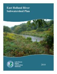 East Holland River Subwatershed Plan - Lake Simcoe Region ...