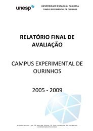 Relatório 2005/2009 - UNESP