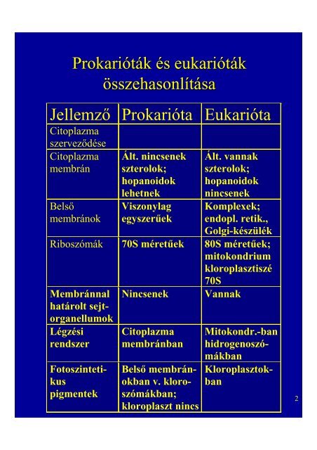 (Archea) Van nÃ¶vÃ©nyek- ben, algÃ¡kban, gombÃ¡kban, Ã¡lt. poliszacha