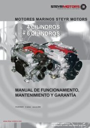 4 cilindros + 6 cilindros 4 cilindros + 6 cilindros - Steyr Motors
