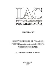 Desenvolvimento de feijÃ£o-de-porco [Canavalia ensiformis (L ... - IAC