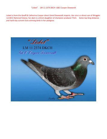 “Lisbet” LM 11 2374 DKCH- G&C Cooper Deweerdt ... - pigeon sales
